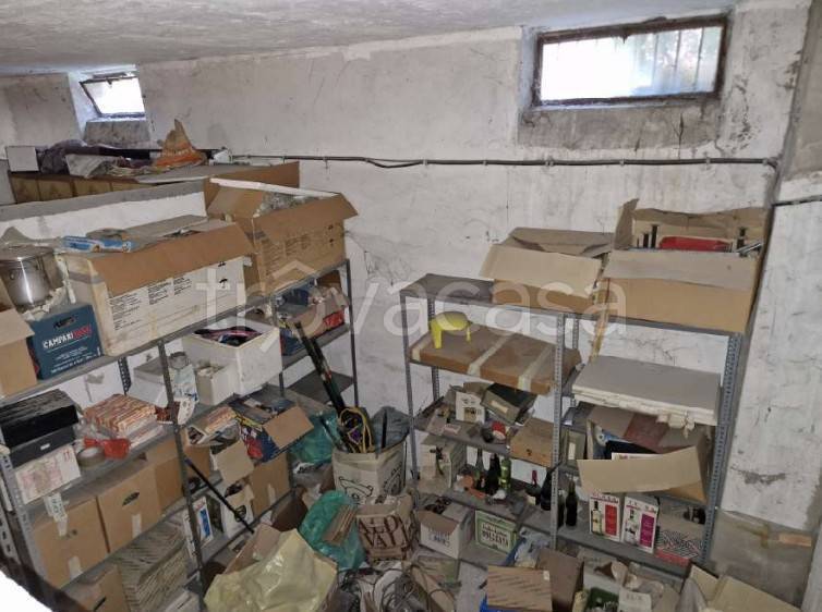 immagine annuncio 6 di 14