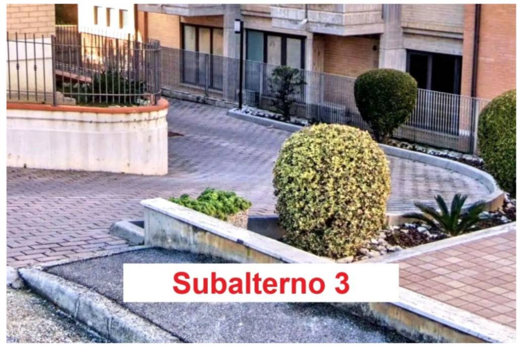 immagine annuncio 4 di 12