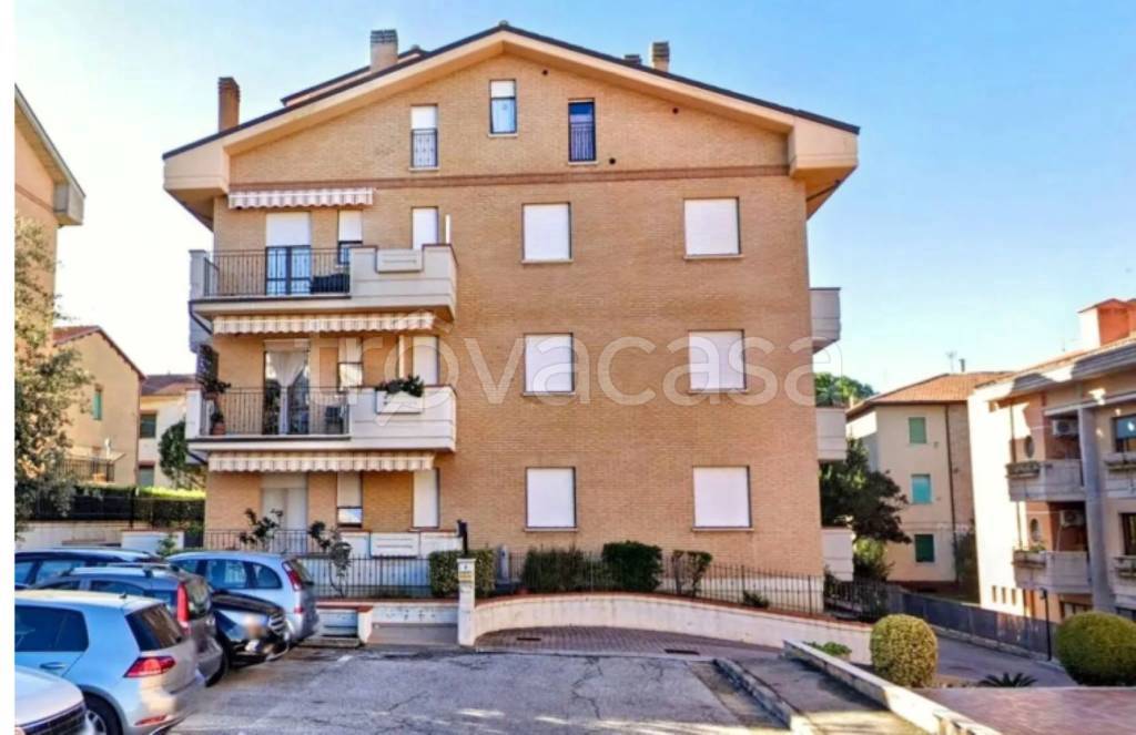 immagine annuncio 5 di 12