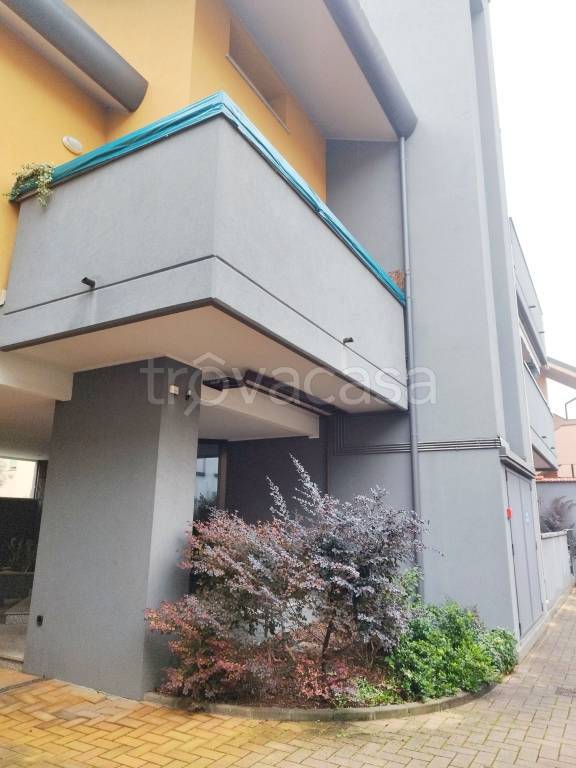 immagine annuncio 12 di 13