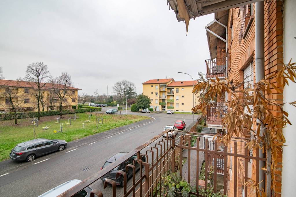 immagine annuncio 4 di 12