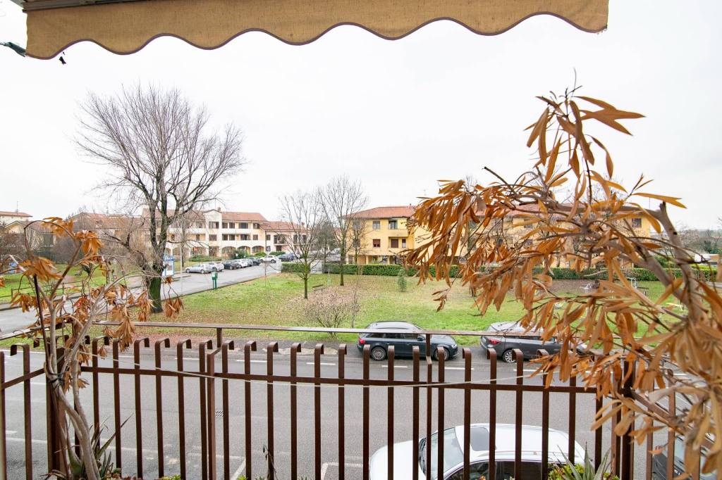 immagine annuncio 5 di 12