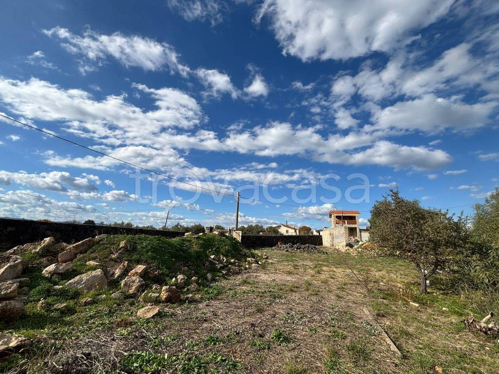 immagine annuncio 3 di 6