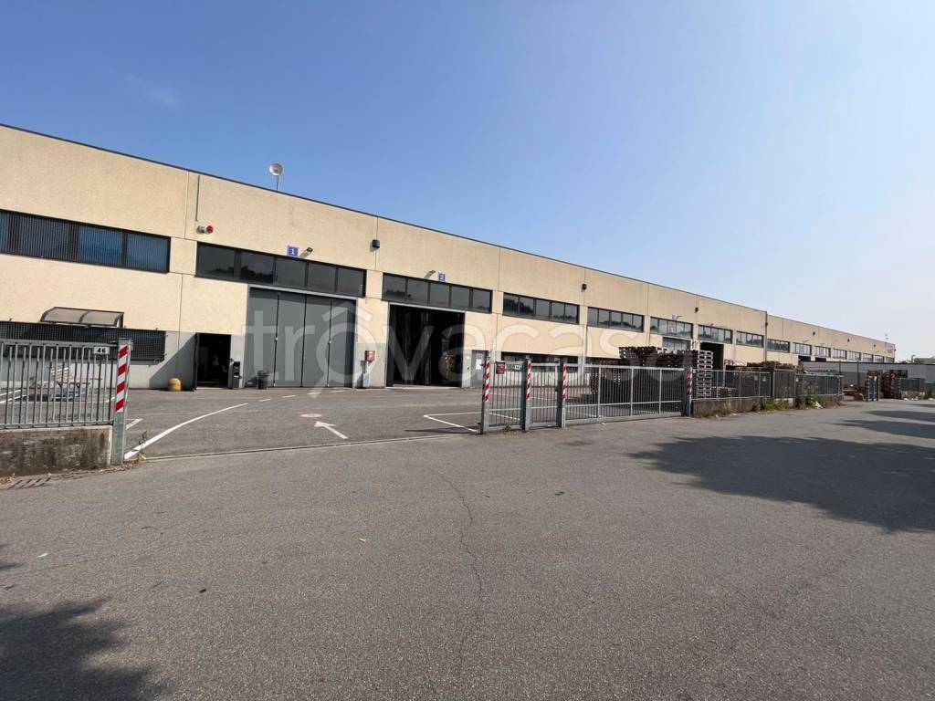 immagine annuncio 9 di 15