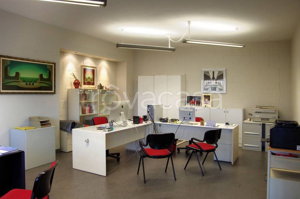 immagine annuncio 3 di 14