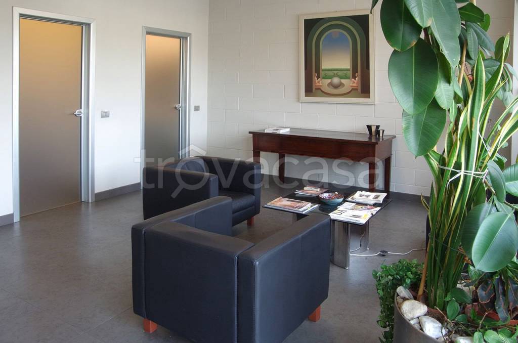 immagine annuncio 4 di 14