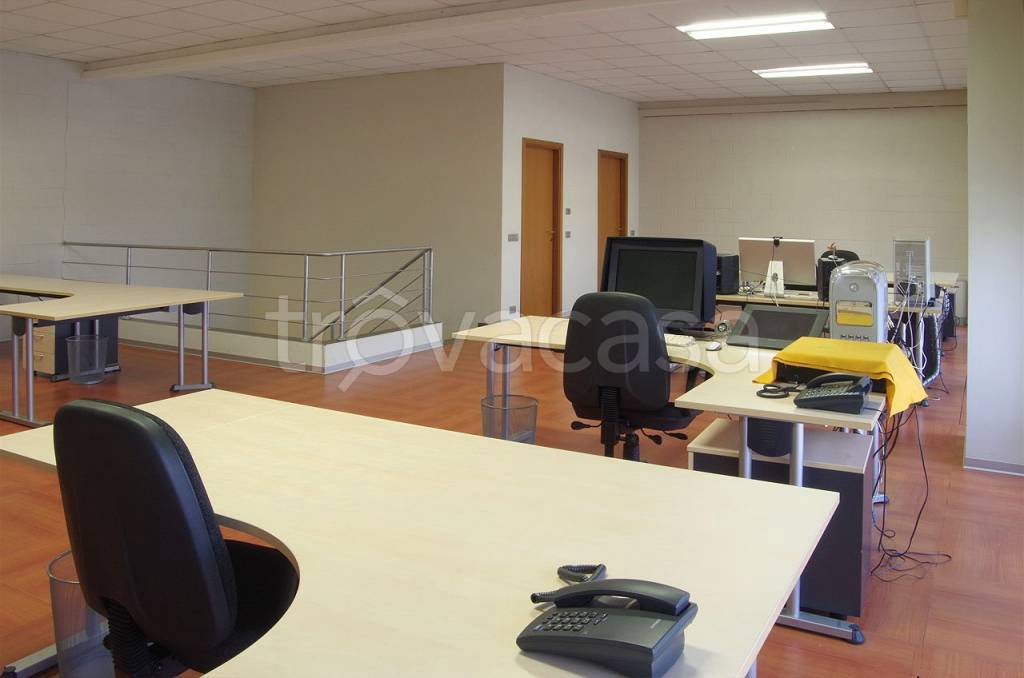 immagine annuncio 11 di 14