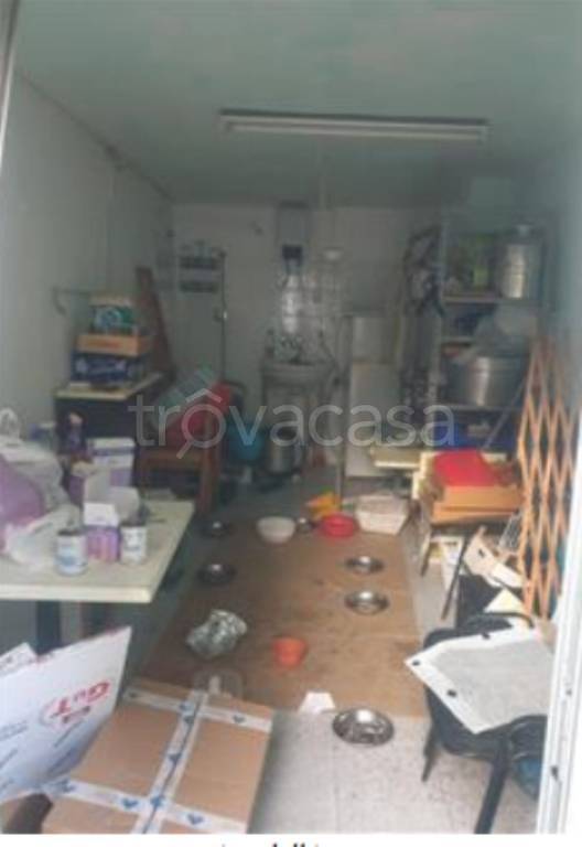 immagine annuncio 5 di 11