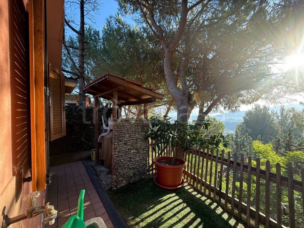 immagine annuncio 3 di 14