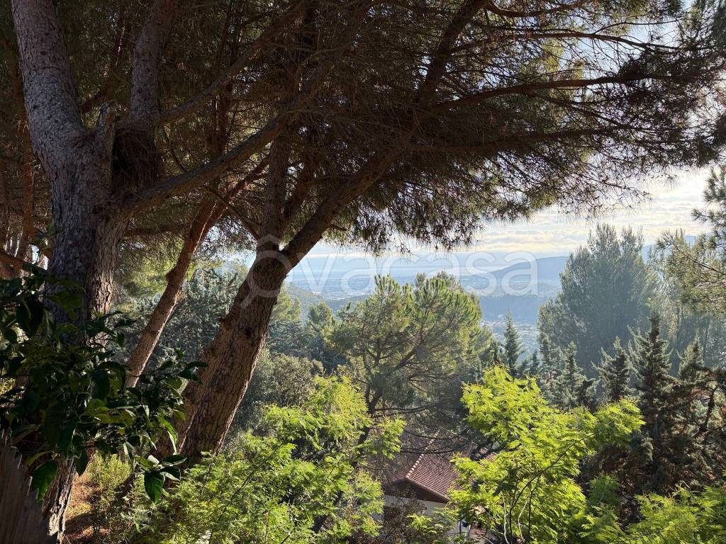 immagine annuncio 4 di 14