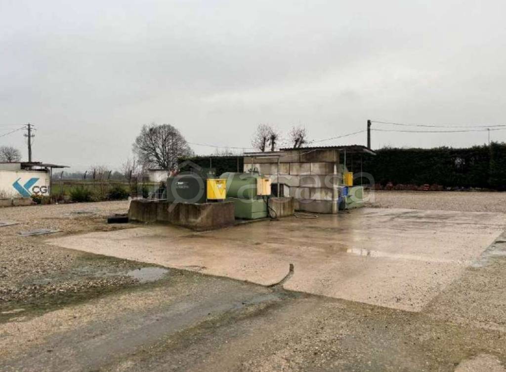 immagine annuncio 2 di 14