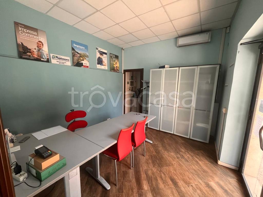 immagine annuncio 13 di 15