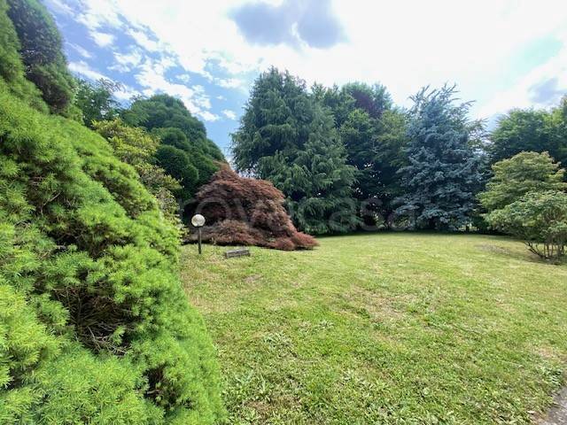 immagine annuncio 5 di 8