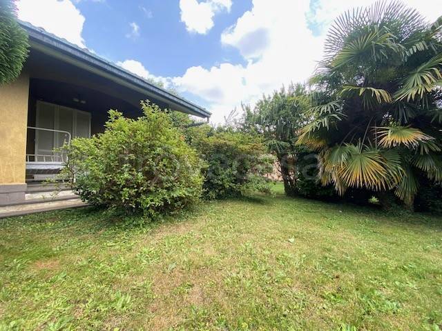 immagine annuncio 7 di 8