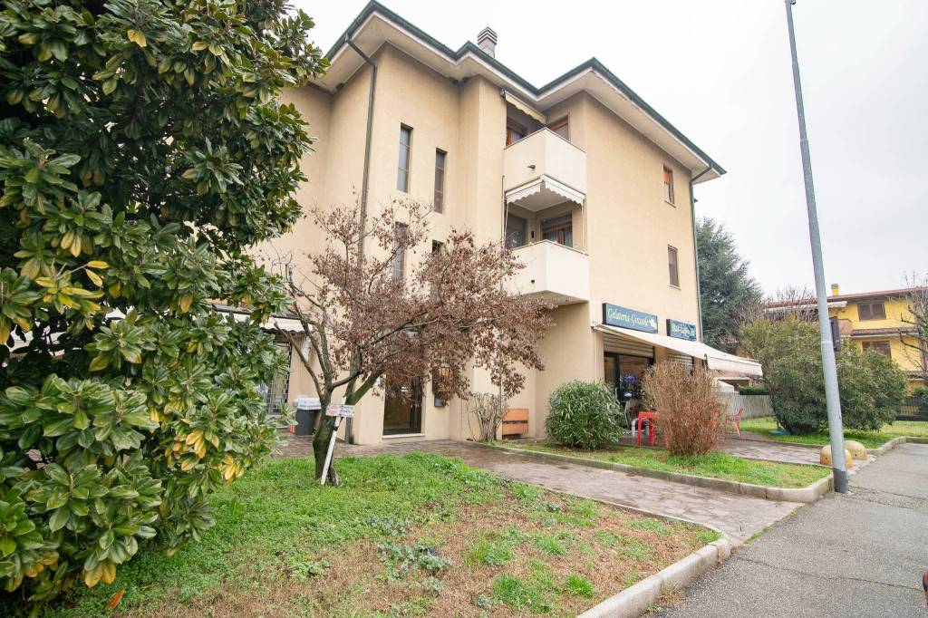 immagine annuncio 14 di 15