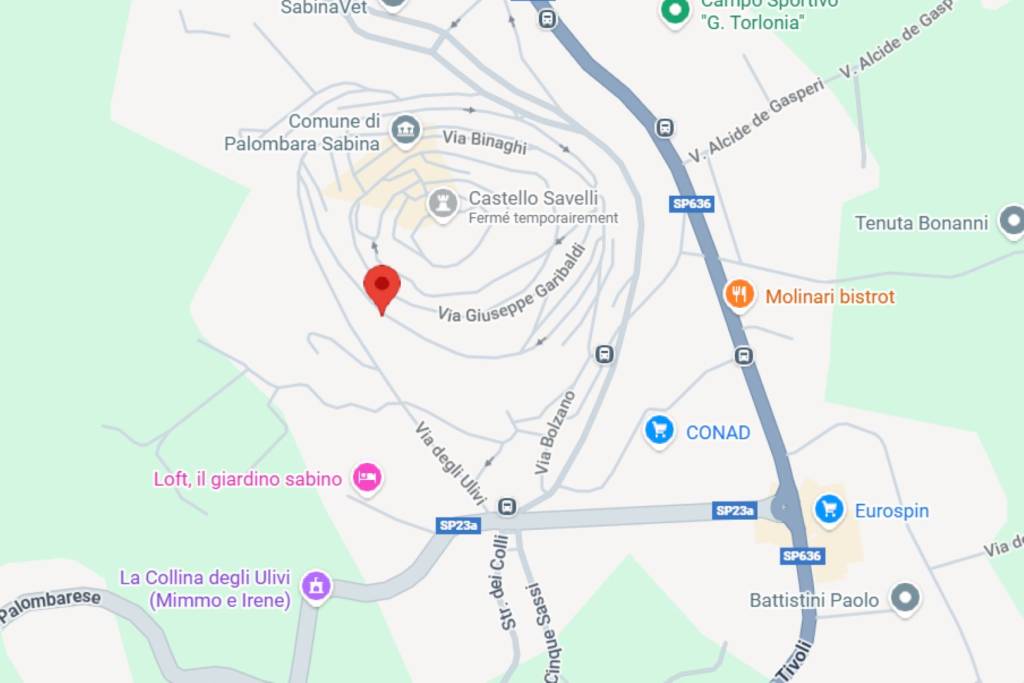 immagine annuncio 6 di 11