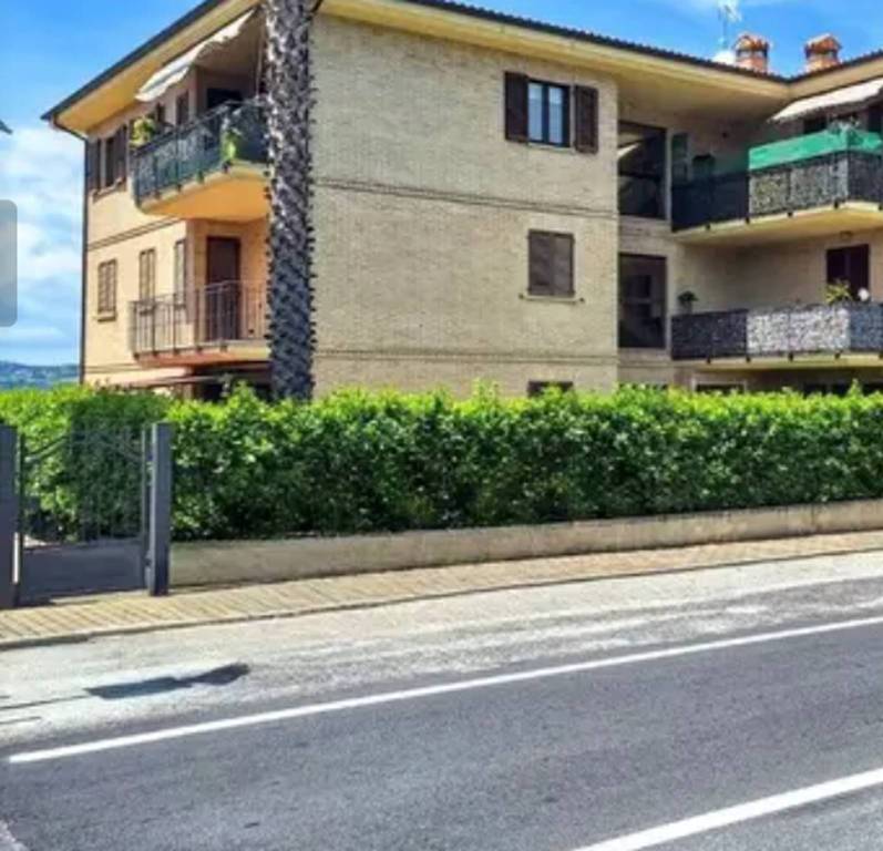 immagine annuncio 4 di 11