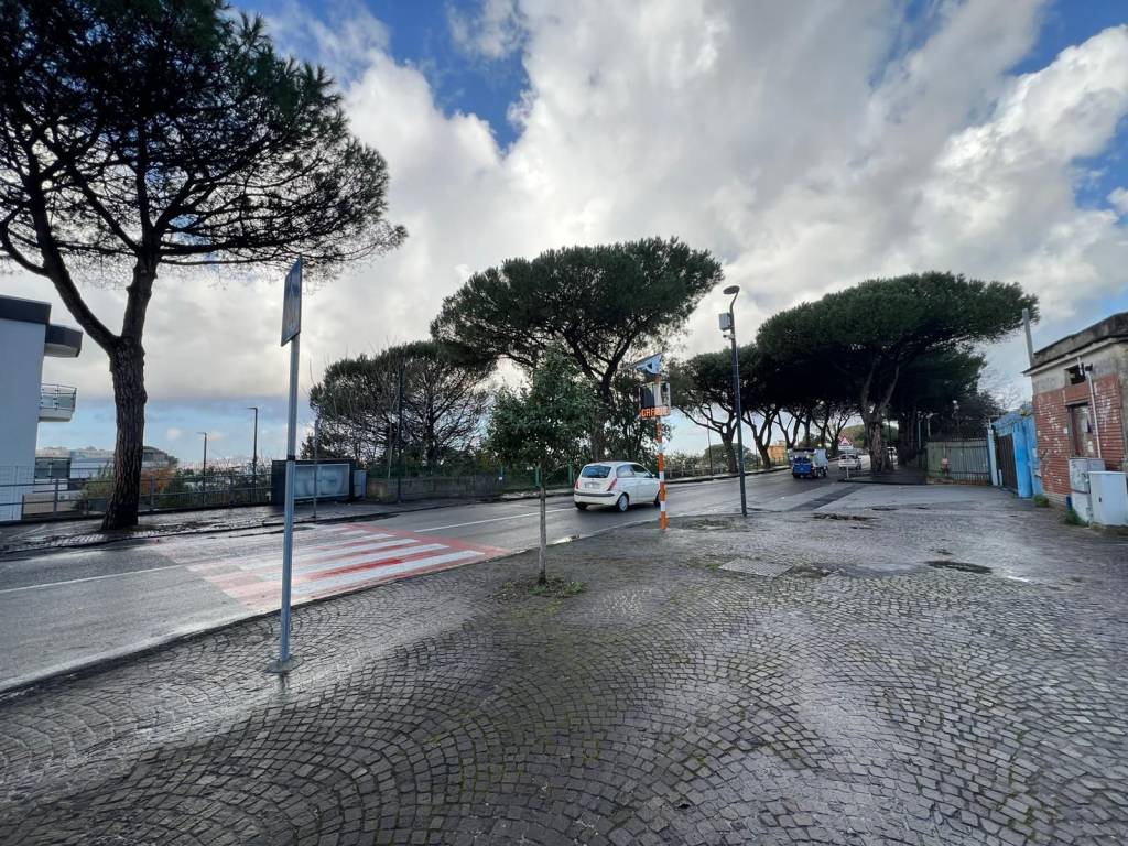 immagine annuncio 6 di 13