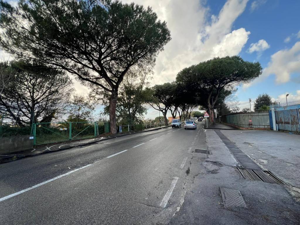 immagine annuncio 7 di 13