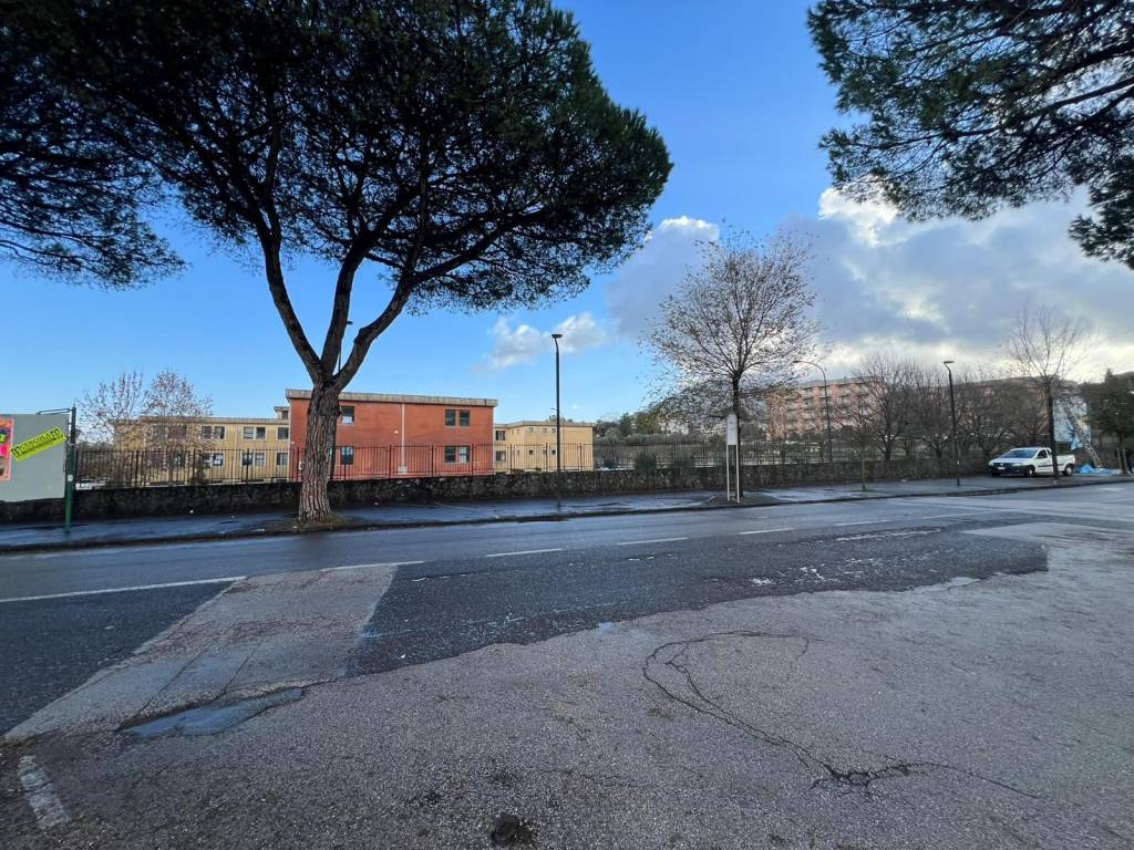 immagine annuncio 9 di 13