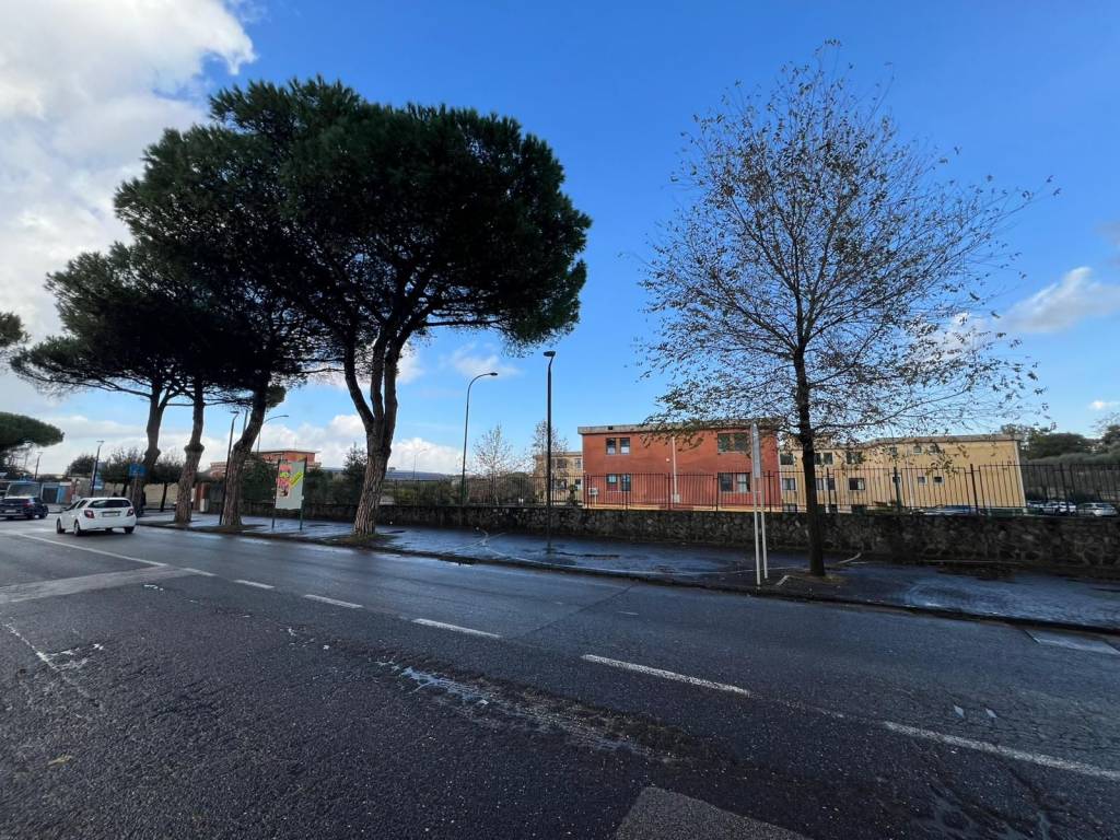 immagine annuncio 11 di 13