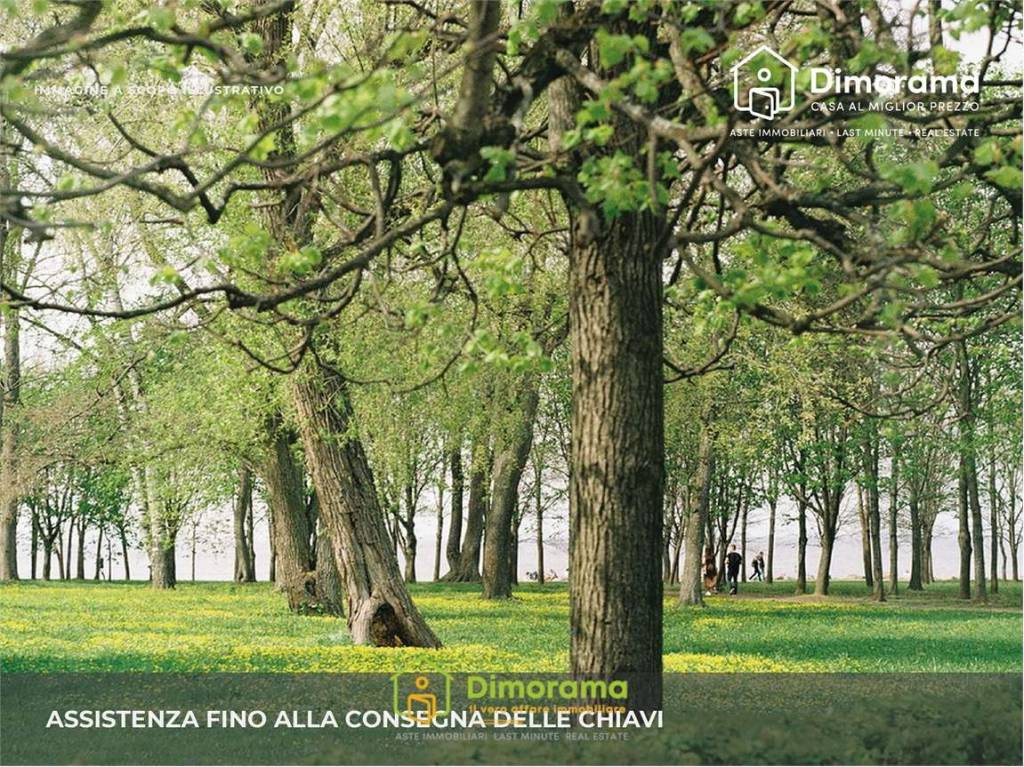 immagine annuncio 4 di 9