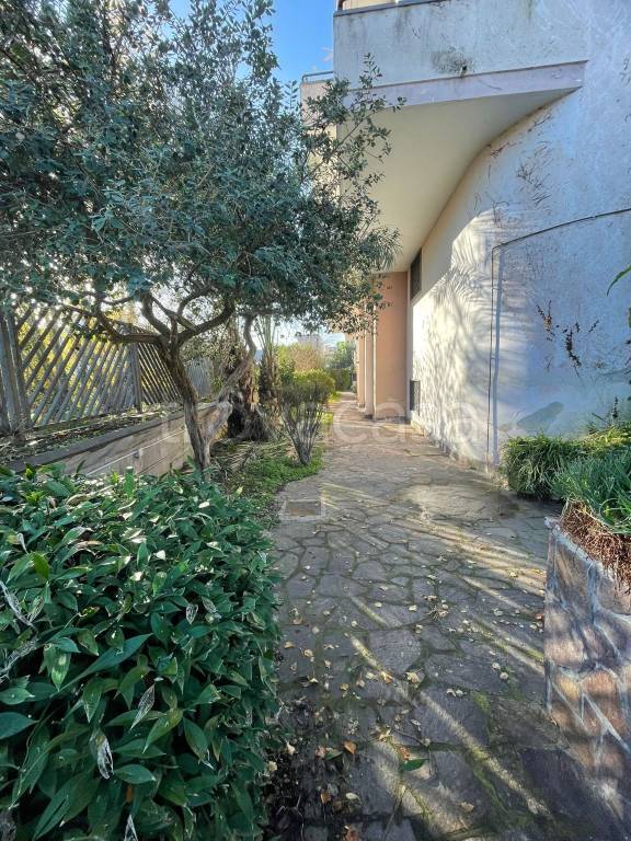 immagine annuncio 12 di 14