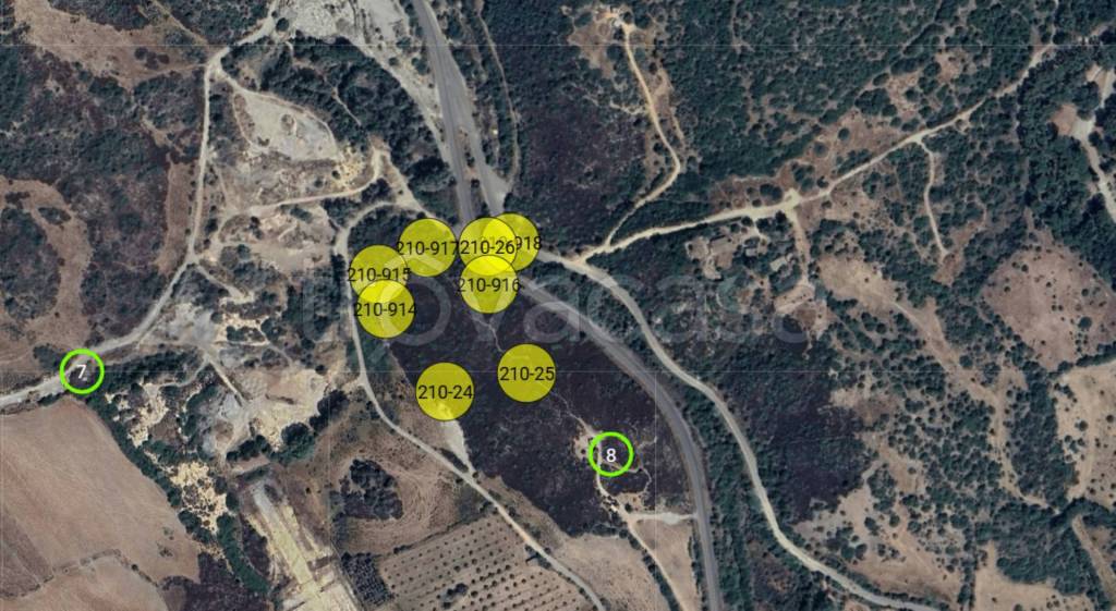 immagine annuncio 3 di 11