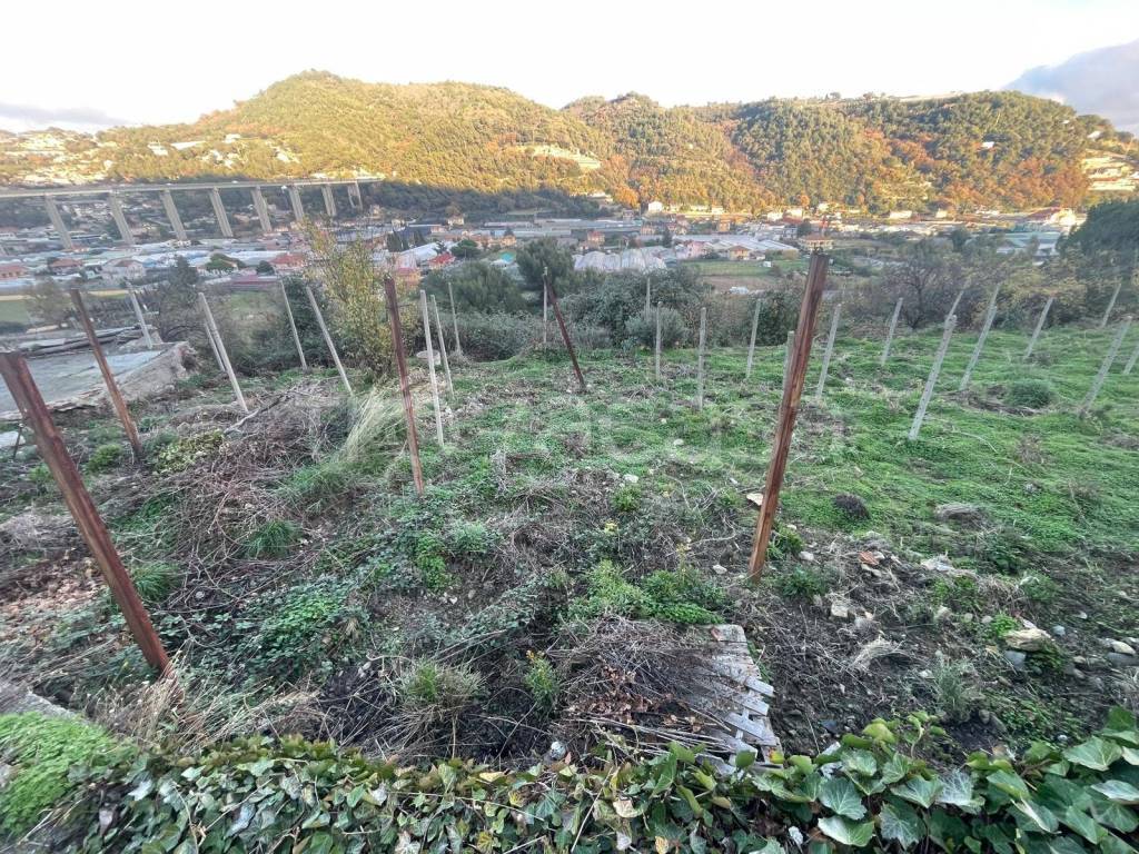 immagine annuncio 2 di 8