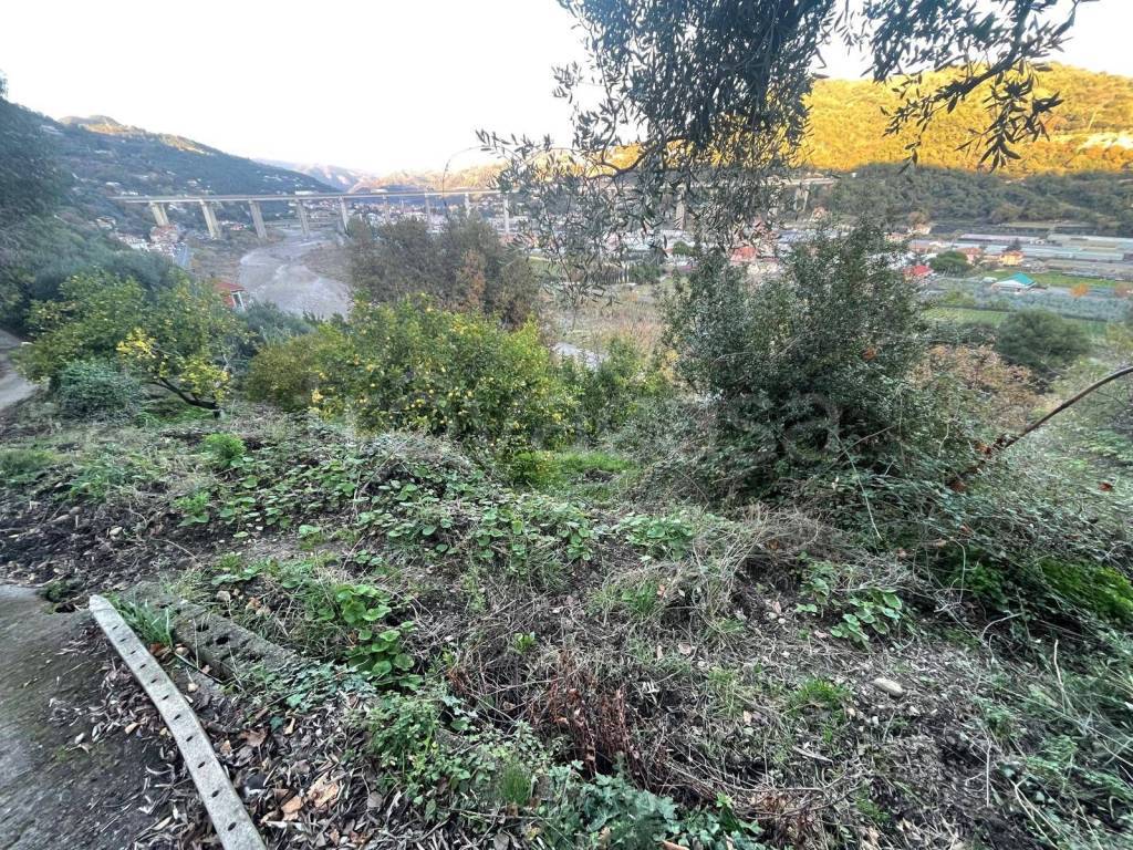 immagine annuncio 4 di 8