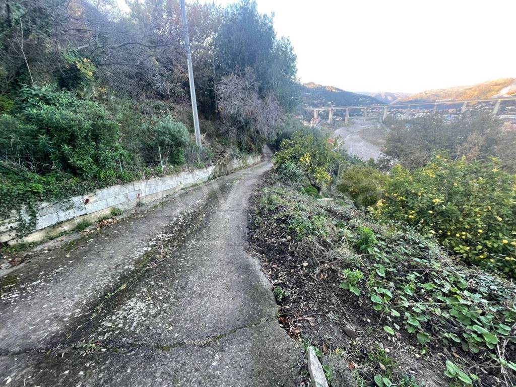 immagine annuncio 5 di 8