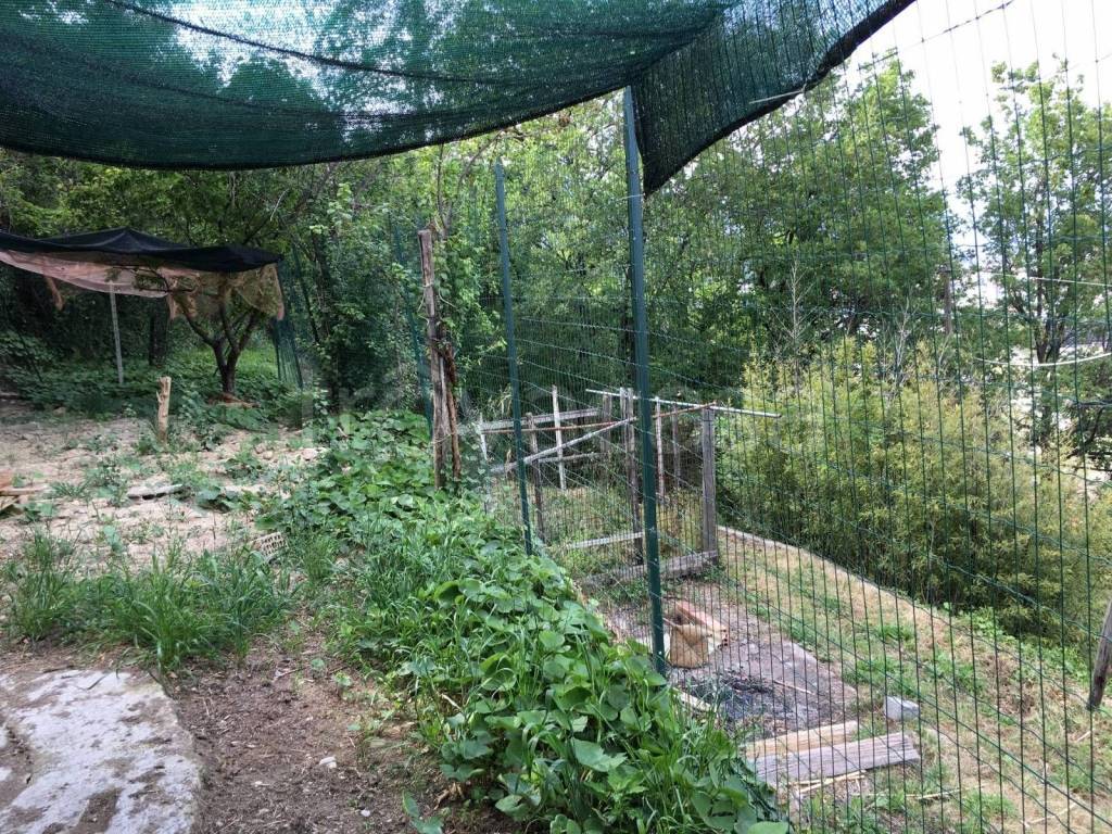 immagine annuncio 6 di 8