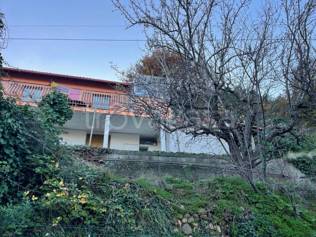 immagine annuncio 7 di 8