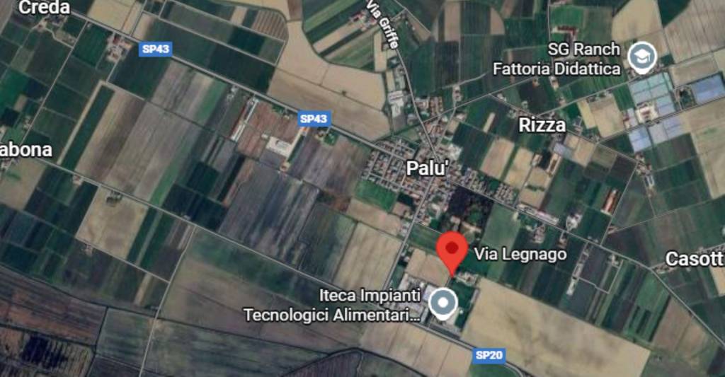 immagine annuncio 6 di 13