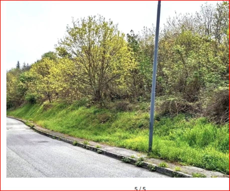 immagine annuncio 4 di 12