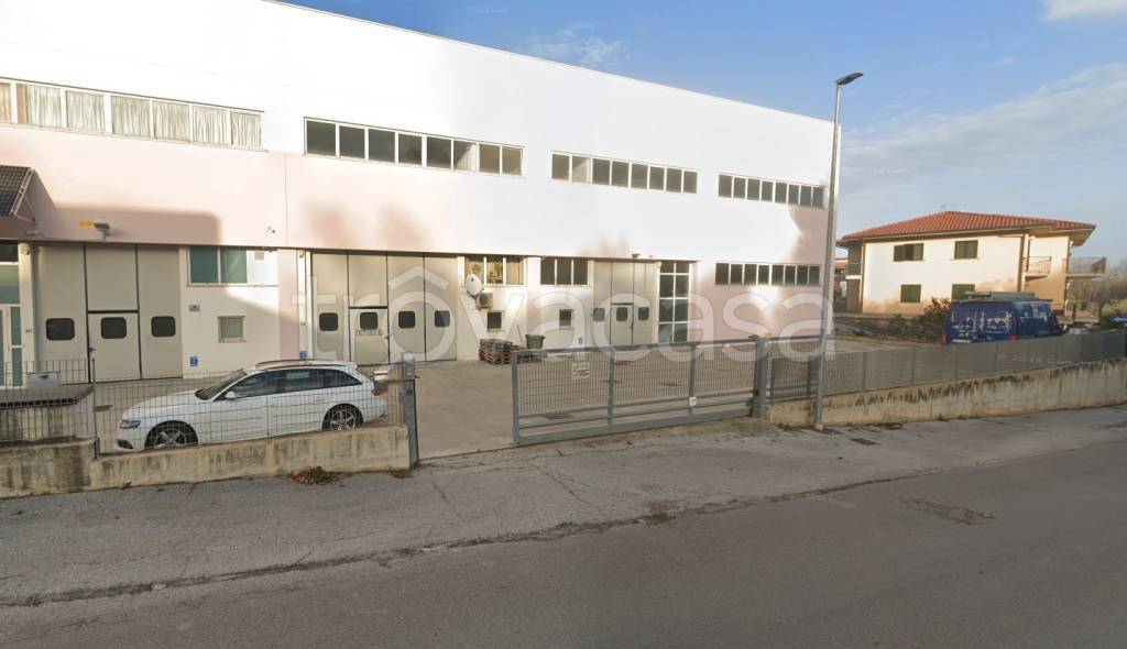 immagine annuncio 9 di 10