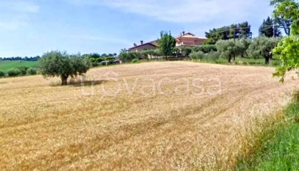 immagine annuncio 6 di 11