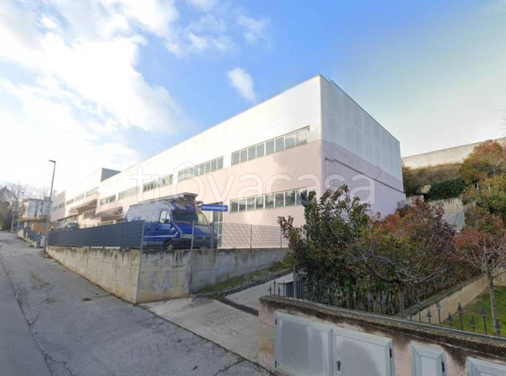 immagine annuncio 1 di 2