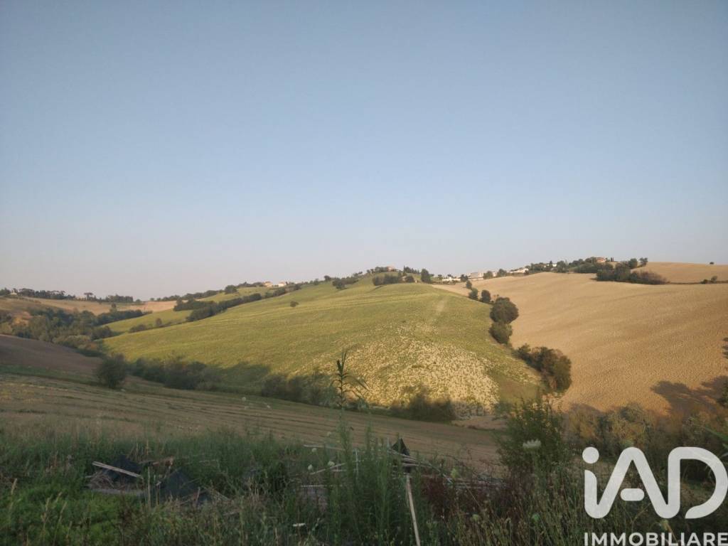 immagine annuncio 7 di 13