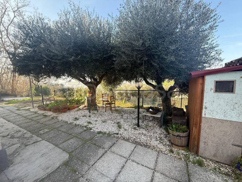 immagine annuncio 8 di 12