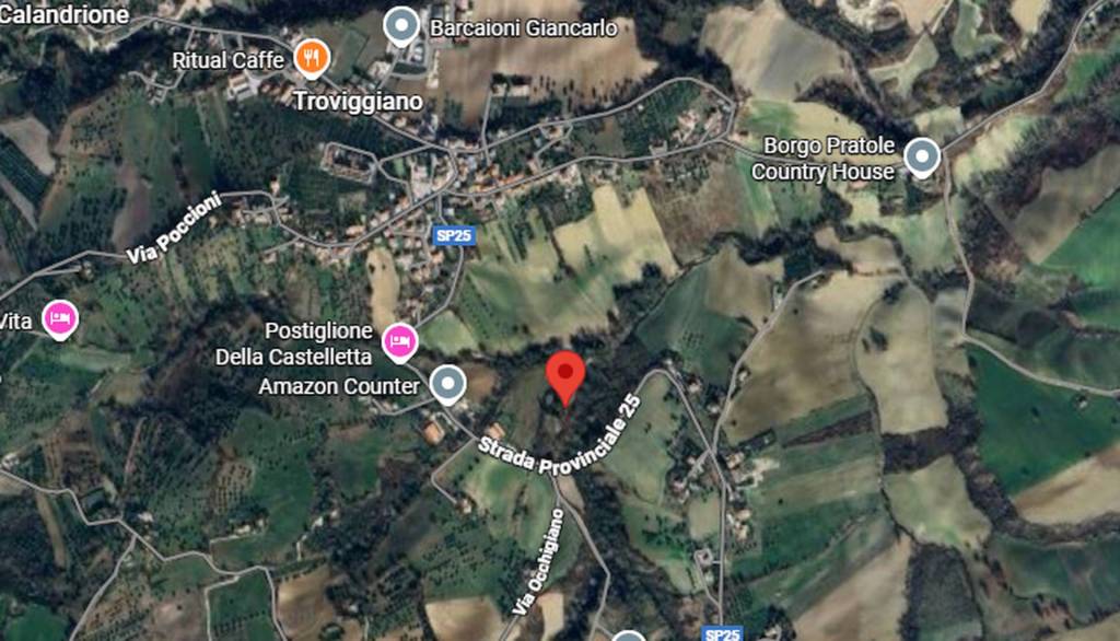 immagine annuncio 9 di 15