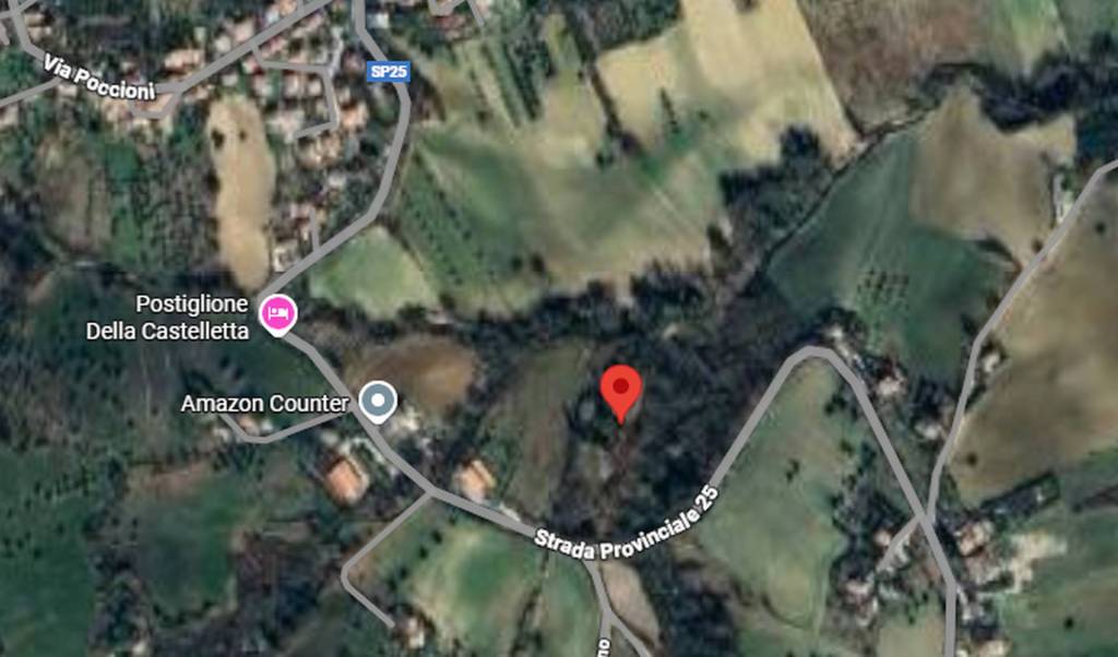 immagine annuncio 10 di 15