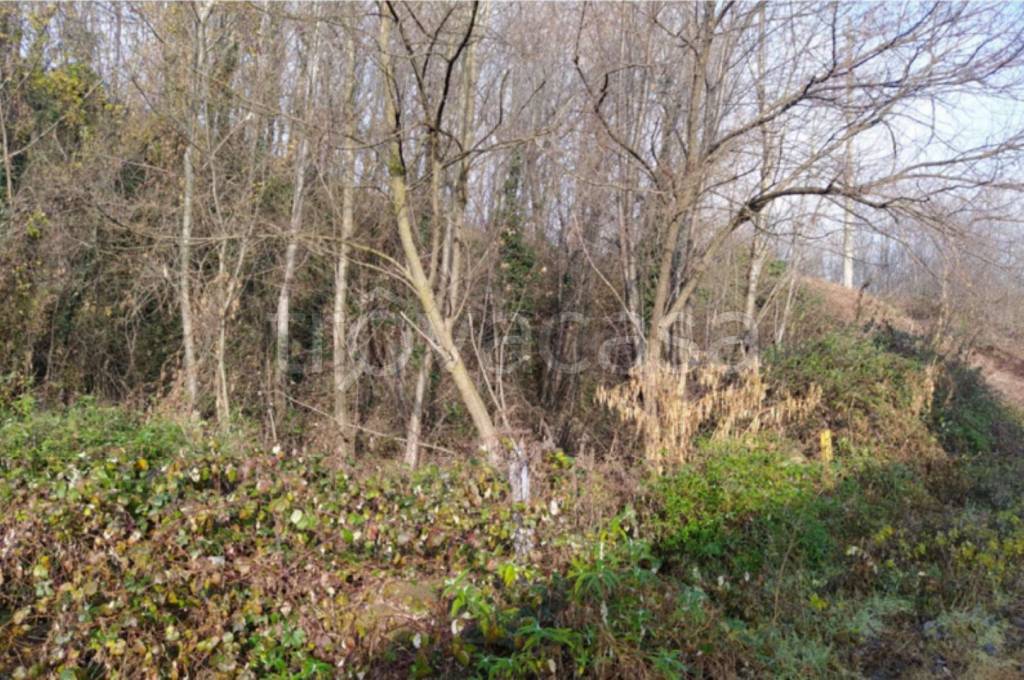 immagine annuncio 5 di 12