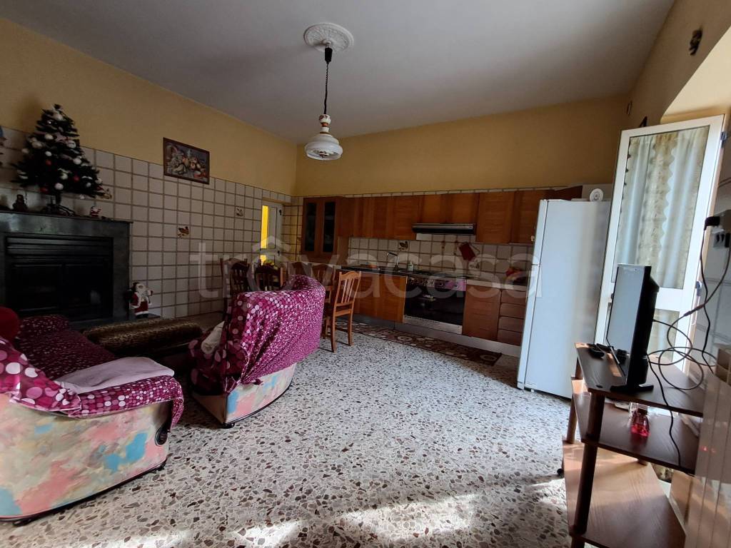 immagine annuncio 3 di 14