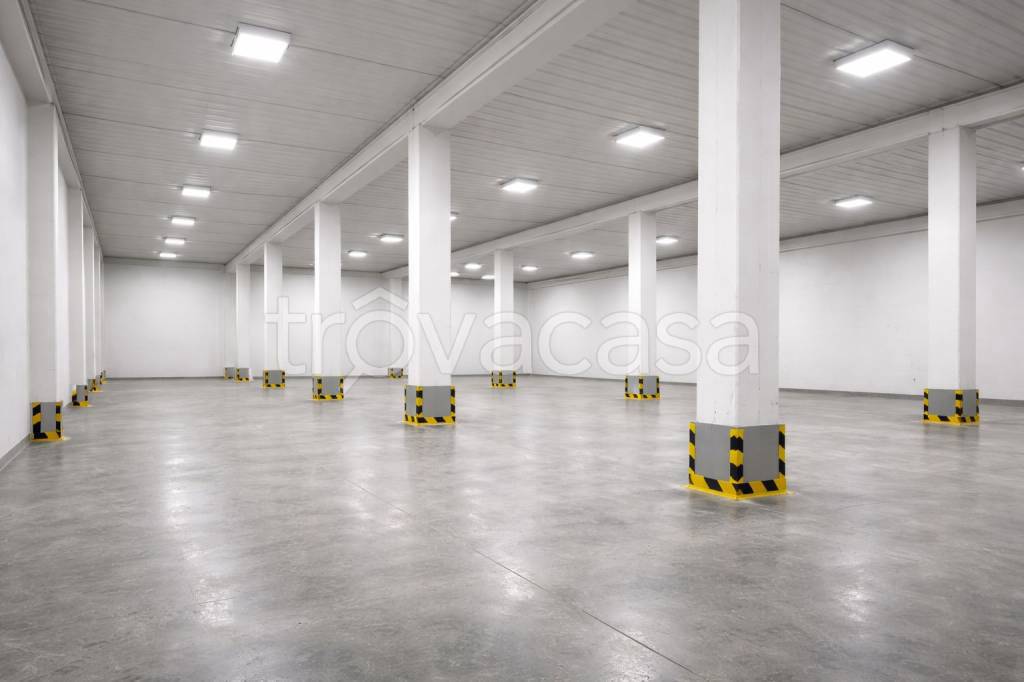 immagine annuncio 1 di 2