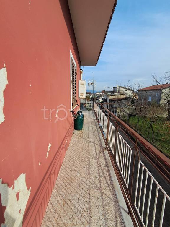 immagine annuncio 12 di 14