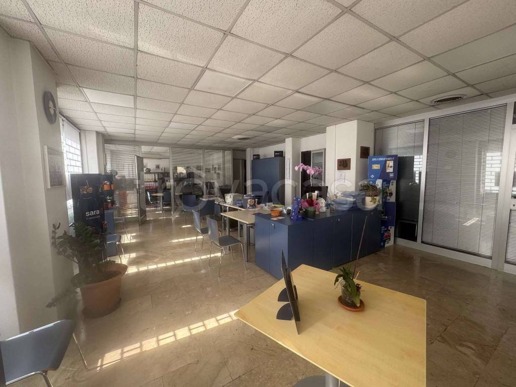 immagine annuncio 6 di 14