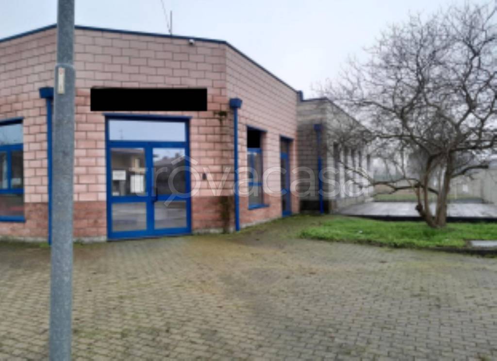 immagine annuncio 3 di 11