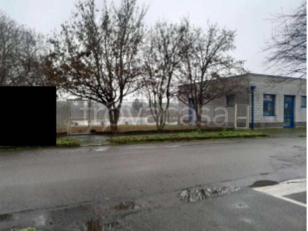 immagine annuncio 5 di 11