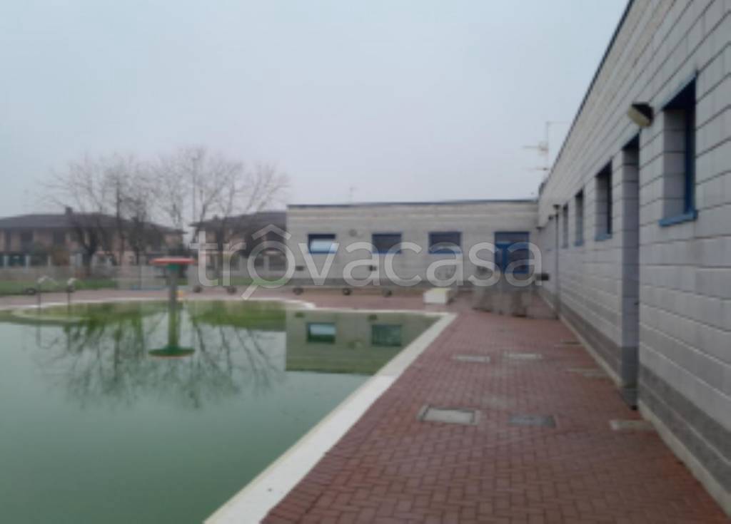 immagine annuncio 6 di 11